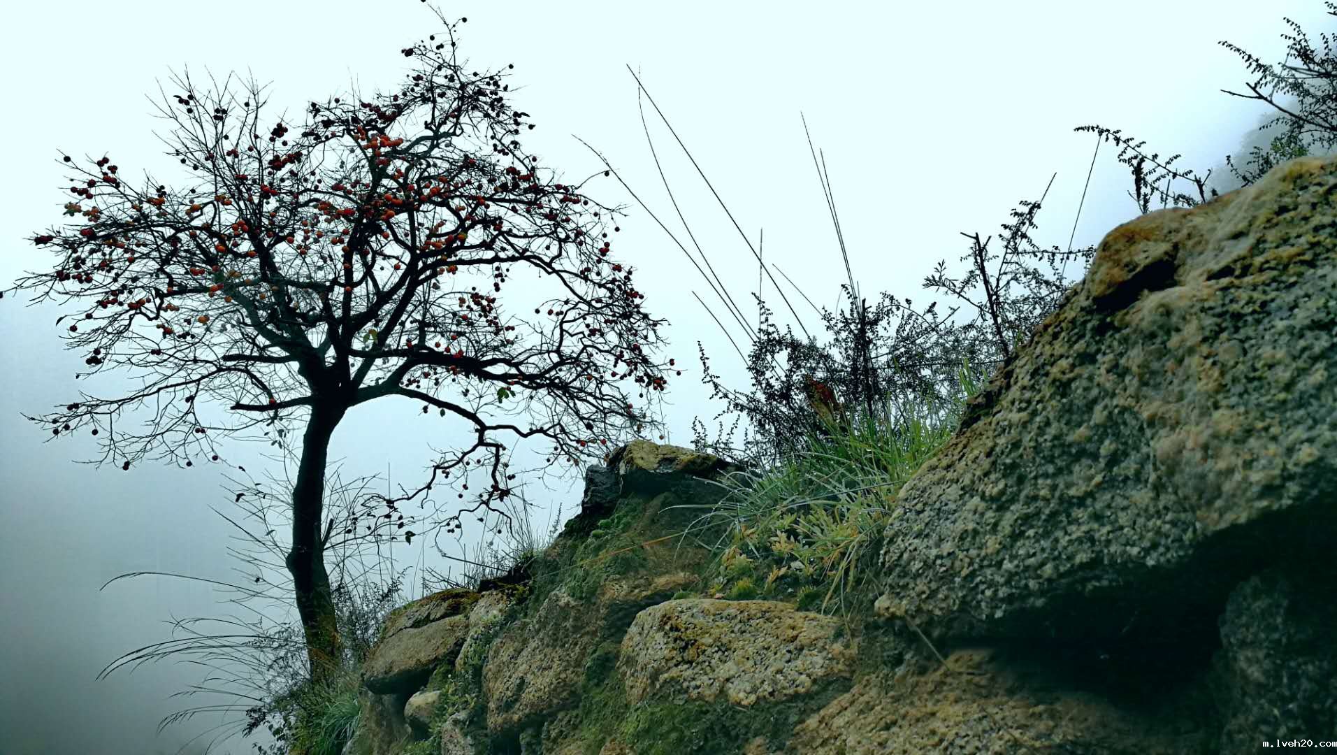 宣传片拍摄餐具和食物的细节及技巧