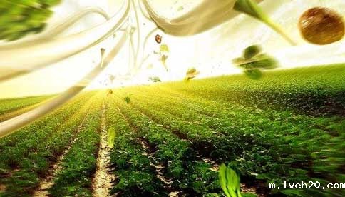 广告片制作没效果的原因以及如何制作出有创意的广告片